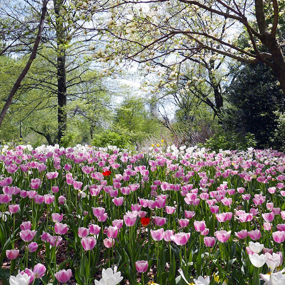 Spring Into Savings