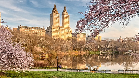 Upper West Side & Central Park Newyork